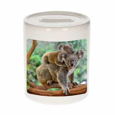 Dieren foto spaarpot koala 9 cm - koalaberen spaarpotten jongens en meisjes