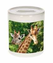Dieren foto spaarpot giraffe 9 cm giraffen spaarpotten jongens en meisjes